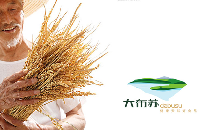 大蘇布 | 標(biāo)志策劃設(shè)計